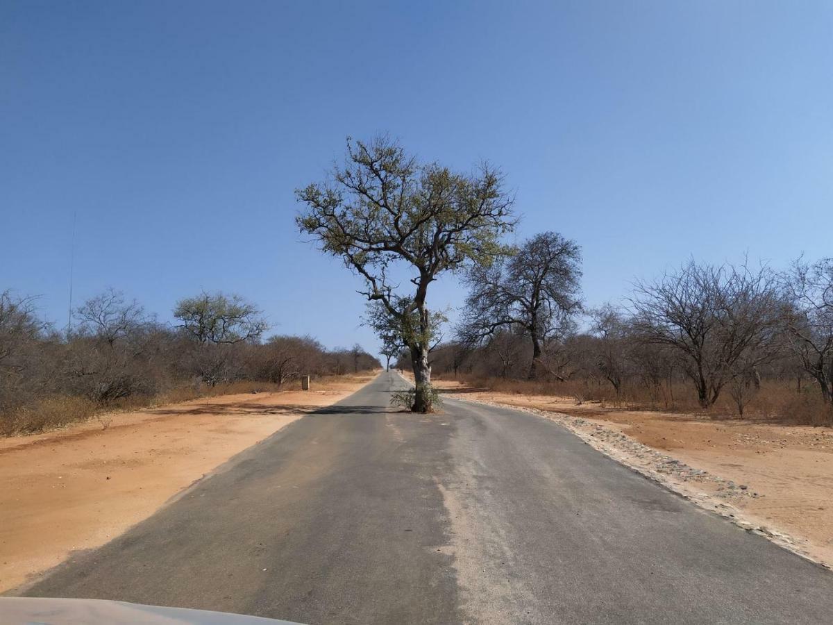 Ukuthula Bush Lodge Hoedspruit Bagian luar foto